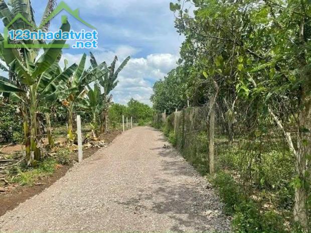 Lô Đất Củ Chi đắc địa cần đổi chủ, 80 m2, giá 1,8 tỷ - 1