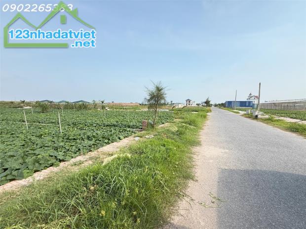 Bán gấp đất nền 91m2 tại Giao Phong Giao Thủy Nam Định giá chỉ 1,7 tỷ - 3