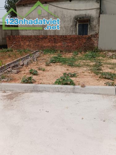 Bán Đất - Xã Tân Minh (Sóc Sơn) - 80m2 Full Thổ Cư -1,65 Tỷ