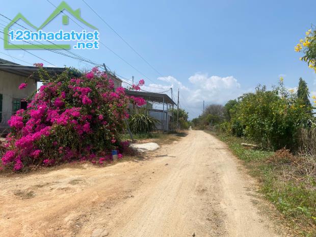 BÁN ĐẤT- DT: 2000M2, MẶT TIỀN NGANG 36,5M, GIÁ TỐT XÃ TÂN LẬP, HÀM THUẬN NAM, BÌNH THUẬN - 4