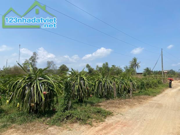BÁN ĐẤT- DT: 2000M2, MẶT TIỀN NGANG 36,5M, GIÁ TỐT XÃ TÂN LẬP, HÀM THUẬN NAM, BÌNH THUẬN