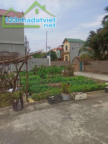 BÁN ĐẤT VIỆT HƯNG LONG BIÊN 72m2, MT Siêu rộng , đường trước nhà 5M - 10 tỷ có thương - 1