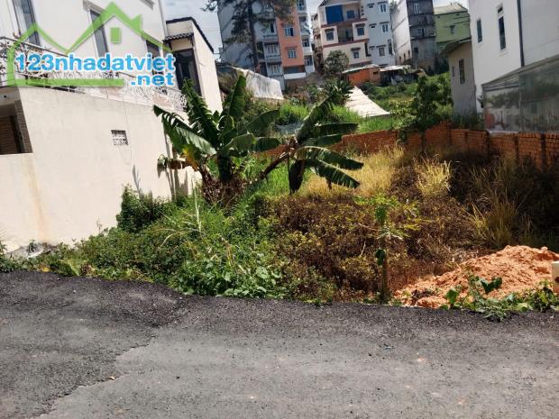 CHÍNH CHỦ CẦN BÁN NHANH LÔ ĐẤT Đường Lê Thị Riêng, Phường 7, TP Đà Lạt, Lâm Đồng - 2