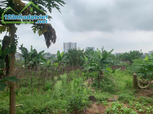 tài chính nhỏ có ngay mảnh đất tại đông trù, đông hội, sát cầu đông trù , vin cổ loa - 1