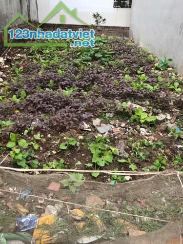 CẦN BÁN 60M ĐẤT ĐA TỐN GIA LÂM  Ô TÔ ĐỖ CỬA GIÁ THƯƠNG LƯỢNG LH VÀ LÀM VIỆC CHÍNH CHỦ