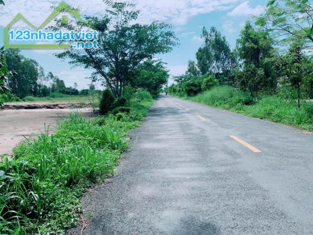 Bán Lô Đất Mặt Tiền Dường Nhựa xã Tân Nghĩa, Huyện Cao Lãnh, Đồng Tháp - 4
