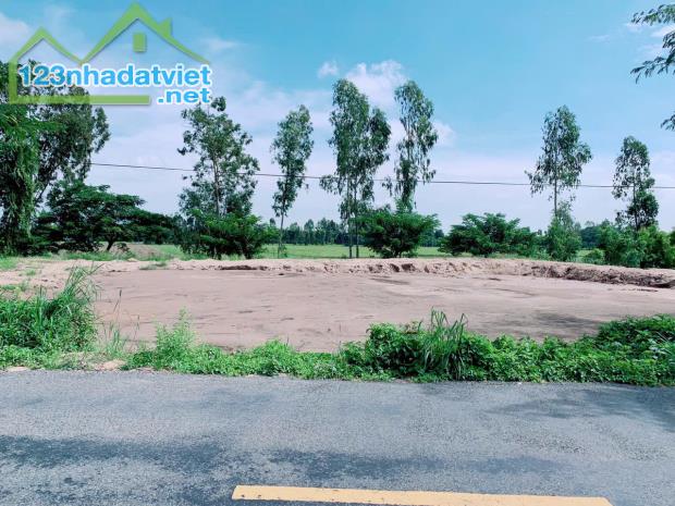 Bán Lô Đất Mặt Tiền Dường Nhựa xã Tân Nghĩa, Huyện Cao Lãnh, Đồng Tháp - 3