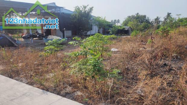 Bán 432m2 đất Thổ cư biển  Cam Bình, Tân Phước, Thị xã LaGi giá đầu tư