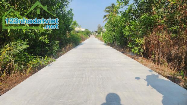 Bán 432m2 đất Thổ cư biển  Cam Bình, Tân Phước, Thị xã LaGi giá đầu tư - 3