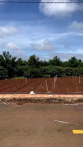 Bán nhanh 3 nền thổ cư hiệp thạnh liên nghĩa Đức Trọng - giá chưa chạm 1 tỷ