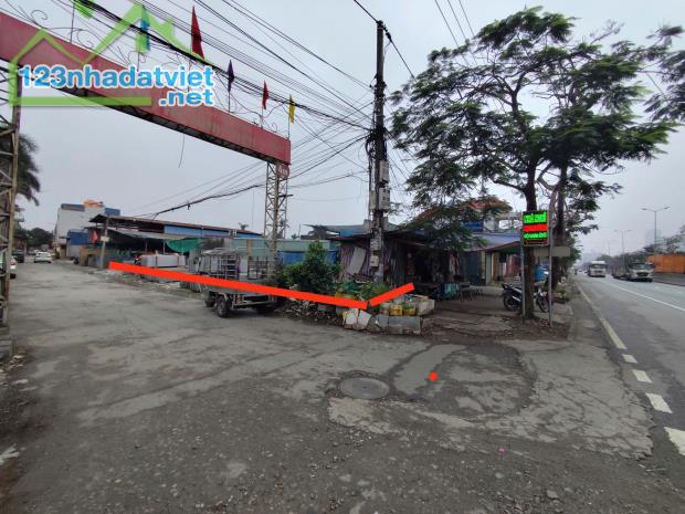 Bán đất mặt đường Nguyễn Bỉnh Khiêm, Đông Hải, Hải Phòng, Dt 70m,giá 3ty1 - 2