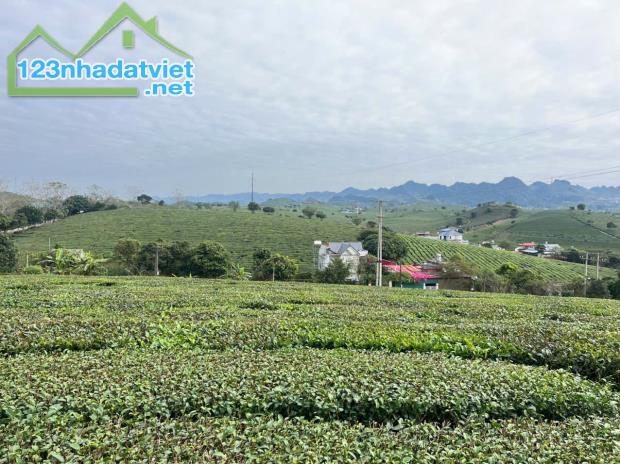 Bán đất TK68 Mộc Châu – 300m² vuông vắn, mặt tiền 20m, sẵn 100m² thổ cư, giá chỉ 2,4 tỷ - 1