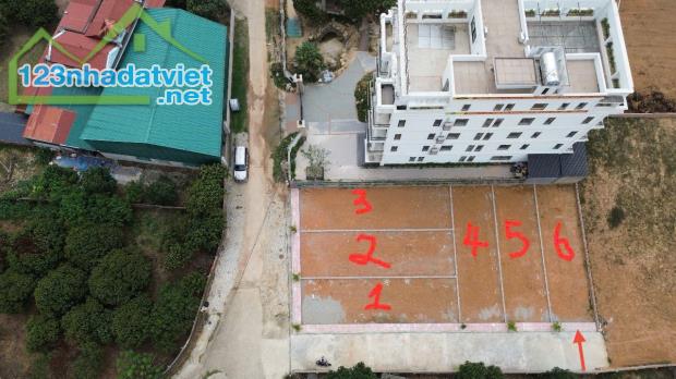 Bán 100m đất thôn Thái Lai, Minh Trí, Sóc Sơn. Full thổ cư, ô tô đỗ - 1