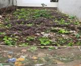 CẦN BÁN 60M ĐẤT ĐA TỐN GIA LÂM  Ô TÔ ĐỖ CỬA GIÁ THƯƠNG LƯỢNG LH VÀ LÀM VIỆC CHÍNH CHỦ