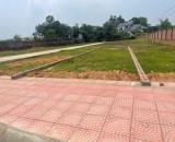 CHỦ KẸT TIỀN – CẮT LỖ BÁN GẤP LÔ ĐẤT 100M² 📍 Xuân Đồng – Tân Minh – Sóc Sơn