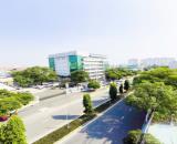 Nhà mặt tiền đại lộ 3 phước bình 85m, kinh doanh tốt, giá rẻ