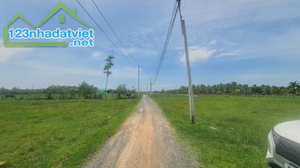 bán đất thổ cư gần biển thị xã LaGi, 10x38, có 120m2 thổ cư, xã Tân Bình. đường ôtô, - 3