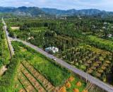 Lâm Đồng bán lô đất mt đường nhựa ngang 6m giá 329tr