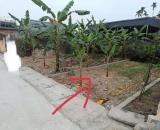 🍀 Chính chủ gửi bán lô đất trục thông 5m tại Hợp Thành - TP Thuỷ Nguyên - HP