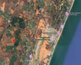 Bán đất gần Biển-Hàm Cường Huyện Hàm Thuận Nam-DT 8,7Ha+10Ha