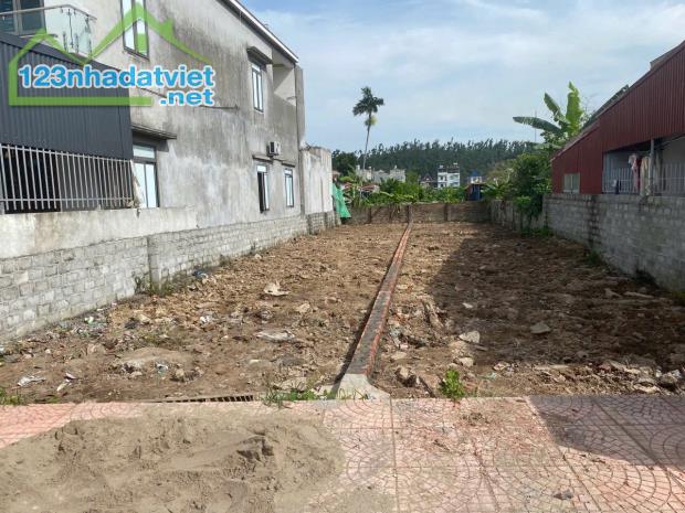 Bán đất Thanh Sơn - Kiến Thụy - Hải Phòng