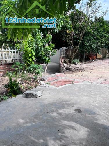 BÁN GẤP LÔ GÓC 8*15 TẠI TRUNG TÂM TT CÁT BÀ - 2