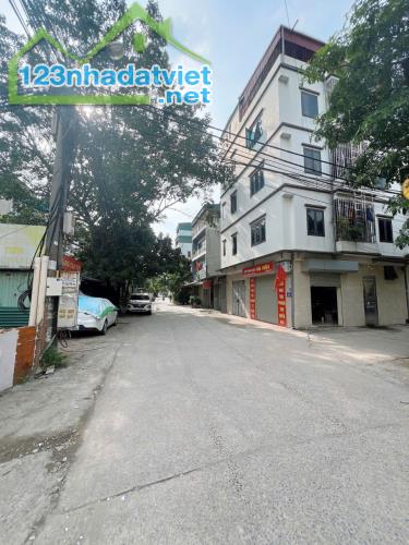 BÁN ĐẤT BÙI QUỐC KHÁI- HOÀNG MAI, 45 M2, CẤP 4, MẶT TIỀN 3,5 M, GIÁ 14,4 TỶ. - 4