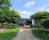 Chính chủ bán vườn 2500m2 có nhà cấp 4 ngay UBND Tân Hiệp - Phú Giáo - Bình Dương giá rẻ.