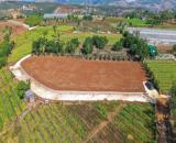 BÁN ĐẤT ĐẸP BẰNG PHẲNG 1970M2 GIÁ TỐT CHỈ 9 TỶ TÀ NUNG ĐÀ LẠT
