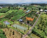 🔥🔥Bán đất mặt tiền Lý Thái Tổ, Dambri Bảo Lộc. 👉7200m2. Gần nút cao tốc