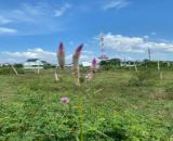 Bán đất nền Củ Chi ngay chợ Việt Kiều, sổ hồng riêng, thổ cư đất ở Đô Thị, công chứng ngay