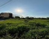 Bán đất nền Củ Chi ngay chợ Việt Kiều, sổ hồng riêng, thổ cư đất ở Đô Thị, công chứng ngay