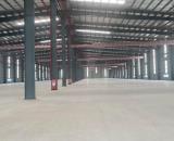 Cho thuê nhà xưởng 13.000m² tại Cẩm Giàng – Hải Dương xưởng công nghiệp hiện đại