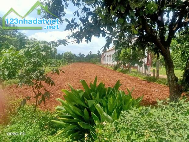 Đất mặt tiền trươc cổng trường học Phạm Hồng Thái Eabhok cũ - 3