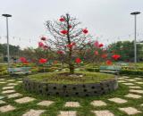 View nghỉ dưỡng bờ sông Đồng Nai .3500m2. View thiết kế bài bảng Sang Trọng