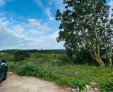 Bán Đất 2 mặt tiền đường Măng Lin – Phường 7, TP Đà Lạt, vị trí đẹp, view thông thoáng