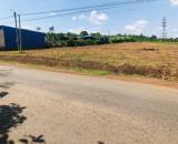 CẦN SANG LẠI MÃNH VƯỜN (2.540M2) ĐẤT THỔ CƯ SHR NGAY CHỢ DÂN CƯ HIỆN HỮU GIÁ 590 TRIỆU