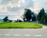 KẸT TIỀN SANG LẠI NỀN ĐẤT 5X34=170M2 THÔ CƯ SHR MT ĐƯỜNG LỚN DÂN ĐÔNG GIÁ 730 TR