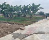 Bán đất 63m2 Bạch Mai Đồng Thái An Dương Hải Phòng