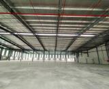 DN1. CHO THUÊ NHÀ XƯỞNG SẢN XUẤT CNC – KHU CÔNG NGHIỆP BIÊN HÒA – ĐỒNG NAI
