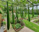 Đất vườn rẻ đẹp 2 mặt tiền 690 triệu/595m2