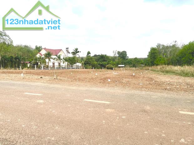SANG LẠI NỀN ĐẤT (10X50=500M2) THỔ CƯ SHR MT ĐƯỜNG NHỰA DÂN ĐÔNG CẠNH CHỢ GIÁ 720 TRIỆU - 2