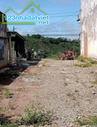 675m2 mặt tiền ql20, liên đầm, di linh, lâm đồng - 1