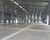 DN1. Cho Thuê Xưởng Sản Xuất - Kho Lưu Hàng . Tại P. Phước Tân