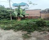 BÁN 46M2 ĐẤT KIM SƠN, XÃ THUẬN AN, HN – NGÕ NÔNG, CÁCH 20M LÀ NHÀ VĂN HÓA, CHỈ HƠN 2 TỶ