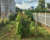 1300m2 hẻm đối diện trường cấp 3 hoàng hoa thắm, n