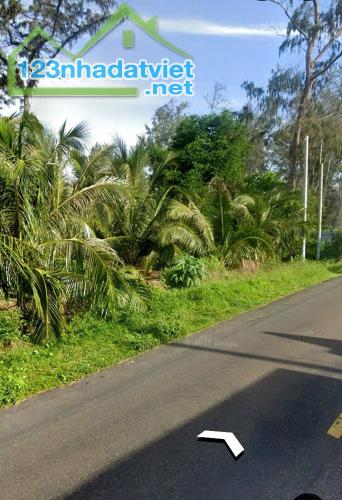 Đất 2 Mặt tiền Biển-Lạc Long Quân-Tiến Thành(Phan Thiết)-Lâm Đồng-1.500m2,có 200m2 thổ cư. - 3