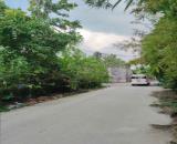 Nhà xưởng Thạnh Lộc, Quận 12, 870m2 (13 x 70), 48.8 tỷ