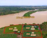 Chủ xuất cảnh cần ra nhanh đất 7.000m2 giá 1,2 tỷ - Giáp sông Srêpốk, Buôn Ma Thuột, tỉnh