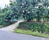 1200m2 đất thổ cư p1 bảo lộc lâm đồng